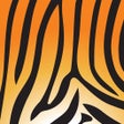 Ícone do programa: Asset Tiger