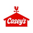 Symbol des Programms: Caseys