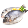 أيقونة البرنامج: Fish Recipes
