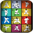 プログラムのアイコン：Shotokan Karate Katas