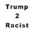 Programikonen: Trump2Racist
