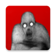 رمز البرنامج: Rake Screamer