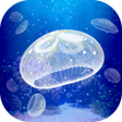 Иконка программы: Jellyfish Pet