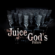 Icon of program: The Juice of God's Future