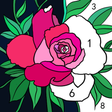 أيقونة البرنامج: Daily Color - Color By Nu…