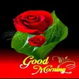 Good Morning  Good Night 2023 icon