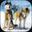 Programikonen: Winter Snow Dog Sledding …