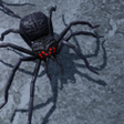 Programikonen: Smash Spiders