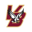 Van Buren County TN Eagles icon