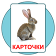 Иконка программы: Развивающие карточки Дома…