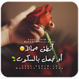Programikonen: عبارات رائعة