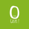 Icône du programme : 0 gaspi