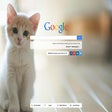 プログラムのアイコン：Cats New Tab