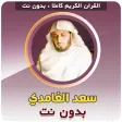 Saad El Ghamidi Quran Offline