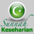 Programikonen: Sunnah Keseharian