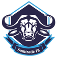 プログラムのアイコン：Samtrade FX