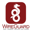 Icon of program: WireGuard