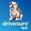 Churchill DriveSure icon