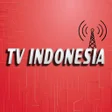 プログラムのアイコン：TV INDONESIA LENGKAP