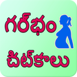 程序图标：Pregnancy tips telegu