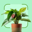 Ikon program: Plantzy - Plant Identifie…