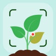 Plantzy - Plant Identifier