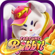 Programikonen: Rabbit War