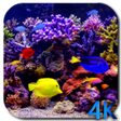 Programikonen: Aquarium 4K Video Wallpap…