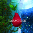プログラムのアイコン：脱出ゲーム　TARACHINE