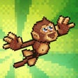 Programın simgesi: Monkey Swingers