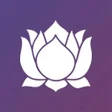 Programikonen: Meditación global
