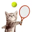 Cat Meow: Sport Battle