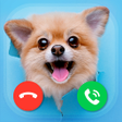 Icon of program: Fake Calls DOGS prank