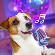 Ikon program: Pet Face AnimatorTalking …