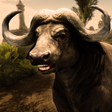 Programikon: Ultimate Buffalo Simulato…
