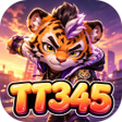 프로그램 아이콘: TT345Flow