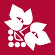 Symbol des Programms: Fête des Vendanges Neucha…