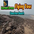 Icon of program: Korean Drone Flying Tour …