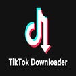 Icon of program: TikTok Downloader