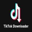 Biểu tượng của chương trình: TikTok Downloader