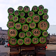 Иконка программы: Timber volume