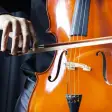 Pocket Cello - Play for real