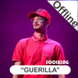 Programikonen: Soolking Offline Musics