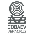 程序图标：Cobaev Prepárate