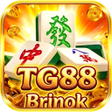 프로그램 아이콘: TG88Brinok