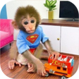 Bibi The Monkey icon