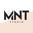 ไอคอนของโปรแกรม: MNTSTUDIO