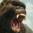 Programikonen: Monster King Kong Evoluti…