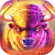 Ícone do programa: Buffalo King Slots