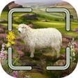 Ikona programu: Dartmoor Smart Counter